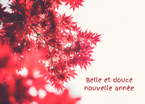 Carte fêtes de fin d'année Belle et douce nouvelle année